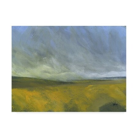 Paul Bailey 'Open Moor' Canvas Art,14x19